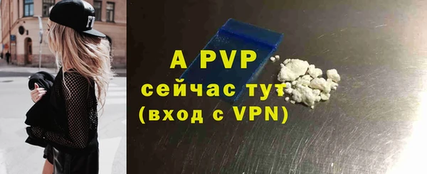 соль ск Нея