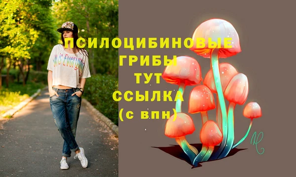 соль ск Нея