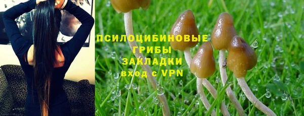 соль ск Нея