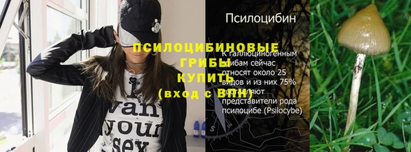 соль ск Нея
