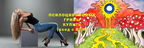 ALPHA PVP Беломорск