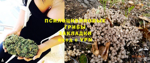 соль ск Нея