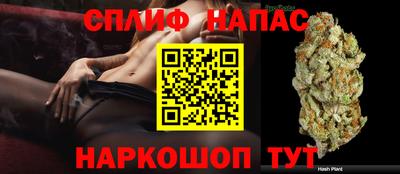 СК Моздок