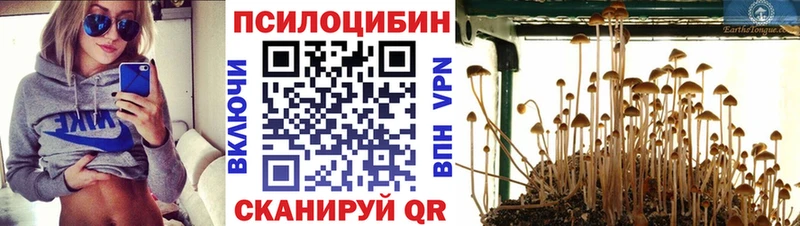 даркнет официальный сайт  Уфа  Псилоцибиновые грибы прущие грибы 