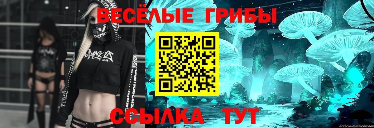 Галлюциногенные грибы Cubensis  Вход с VPN  Галлюциногенные грибы прущие грибы  Уфа 